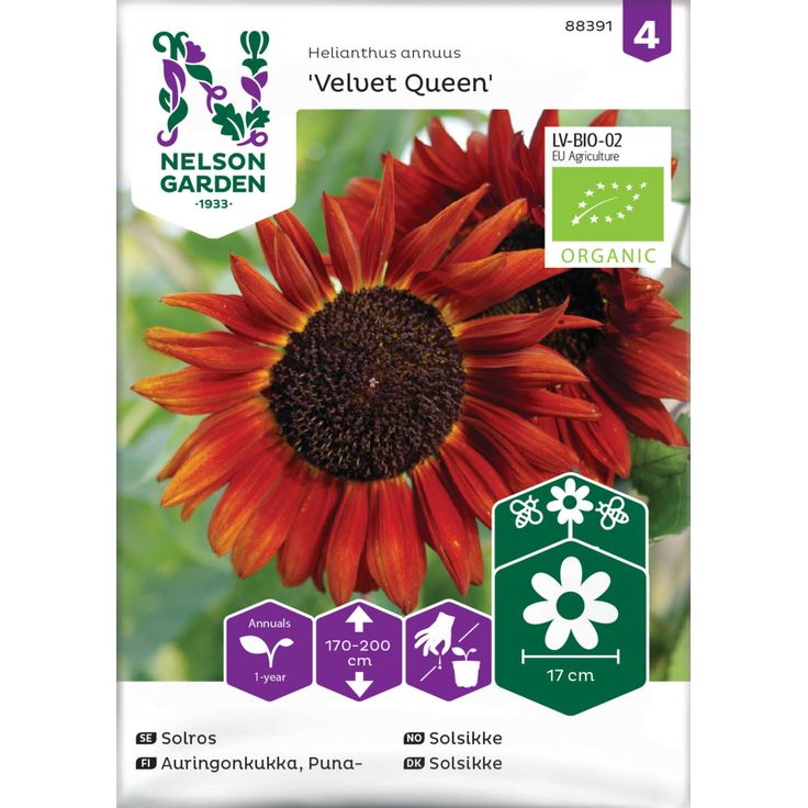 Auringonkukka siemen Nelson Garden Velvet Queen Organic