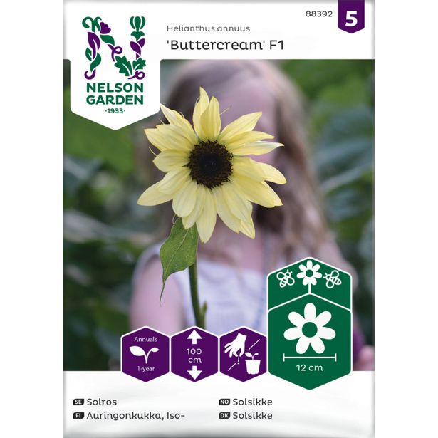 Auringonkukka siemen Nelson Garden Buttercream F1