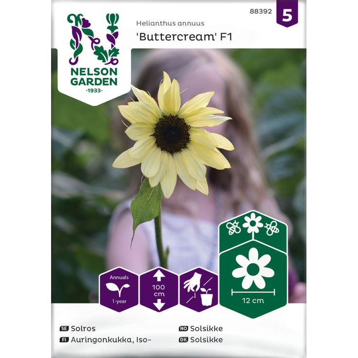 Auringonkukka siemen Nelson Garden Buttercream F1
