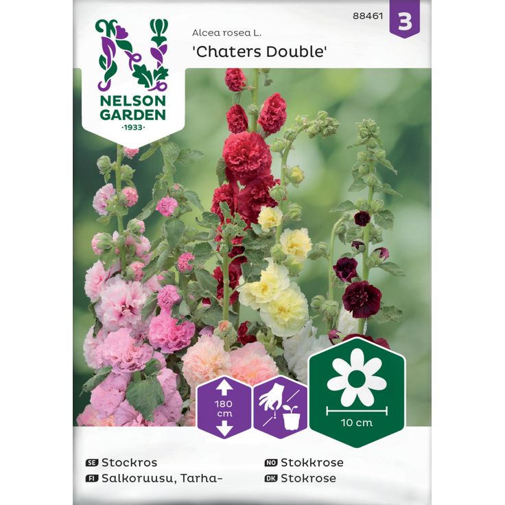 Tarhasalkoruusu siemen Nelson Garden Charter's Double
