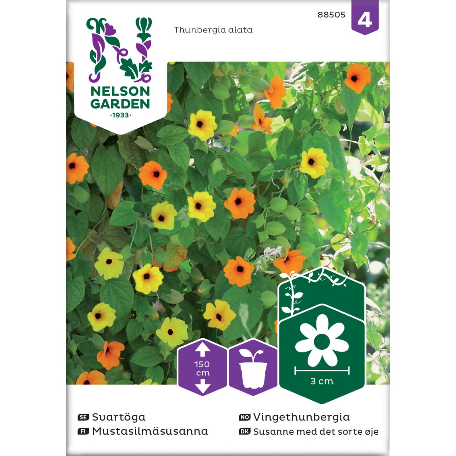 Mustasilmäsusanna Nelson Garden, väriseos, siemenet