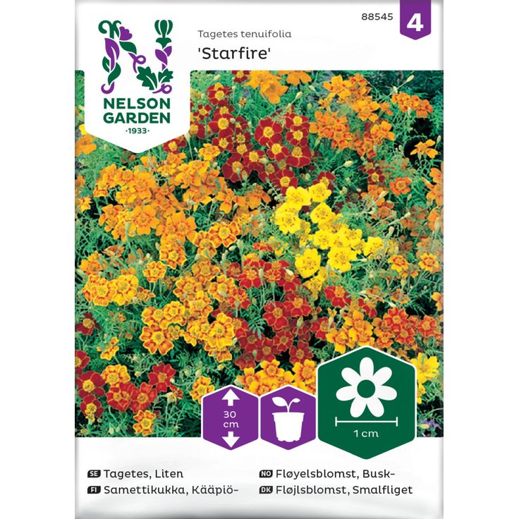 Kääpiösamettikukka siemen Nelson Garden Starfire mixed