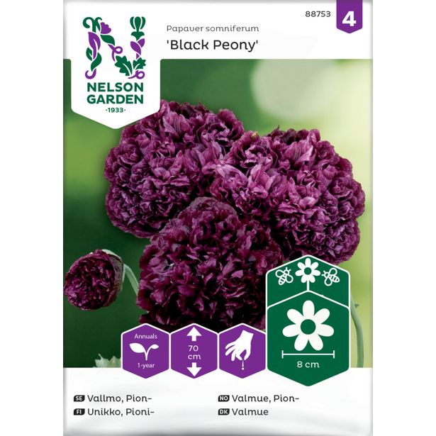 Pioniunikko siemen Nelson Garden Black Peony