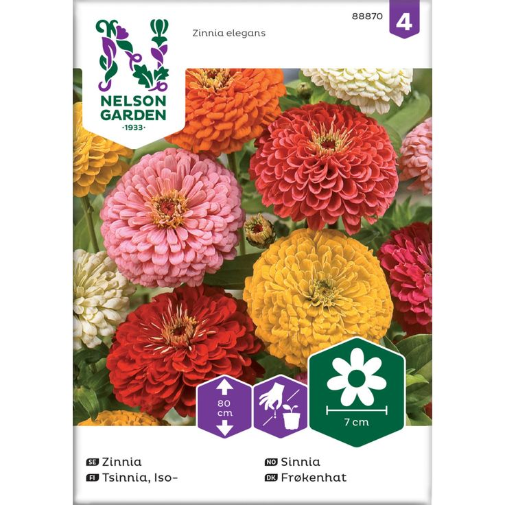 Iso-tsinnia siemen Nelson Garden, väriseos