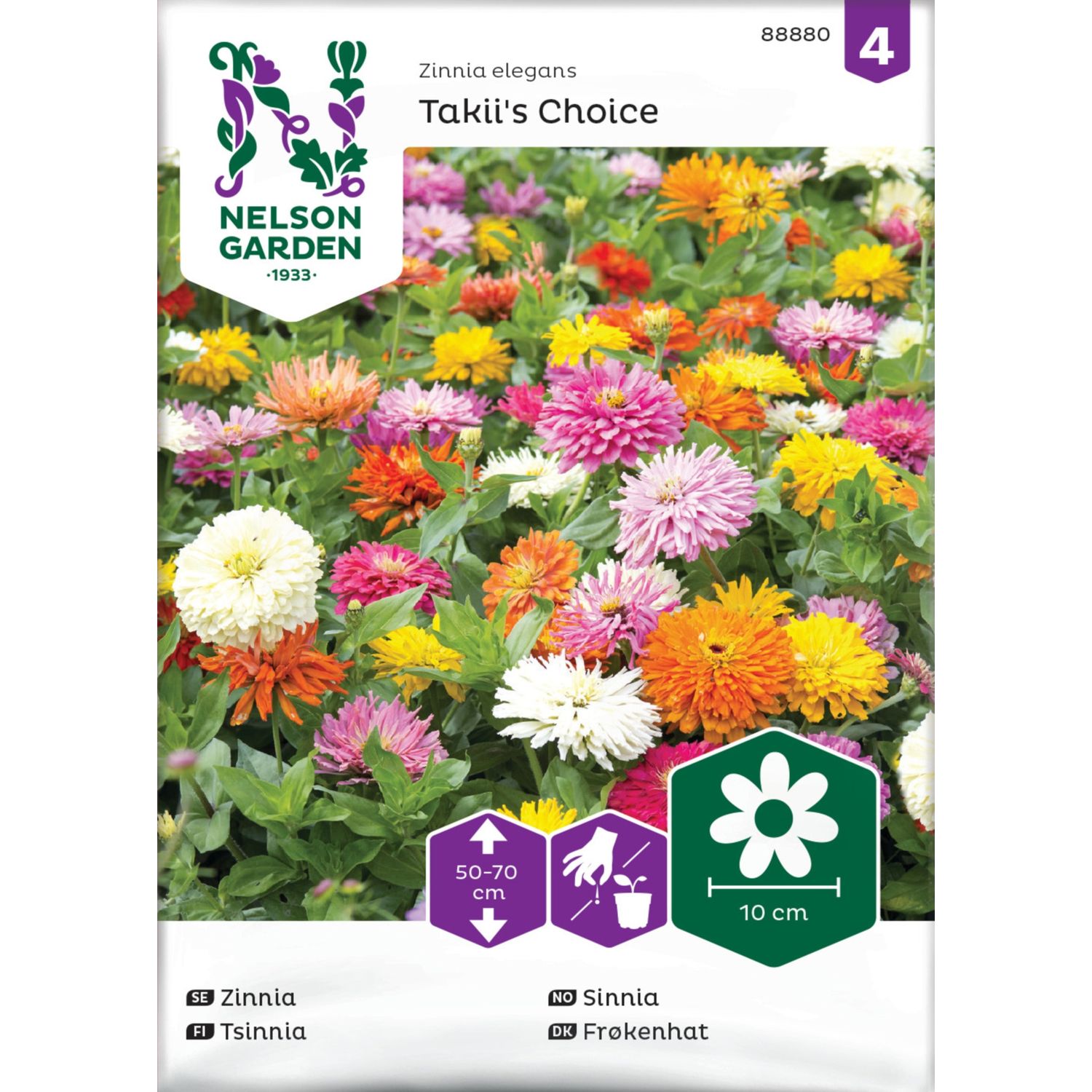 Iso-tsinnia Nelson Garden Takii's Choice, siemenet