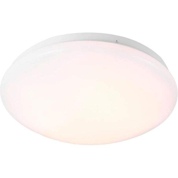 LED-plafondi Nordlux Mani, 12W, ø25,5cm, valkoinen