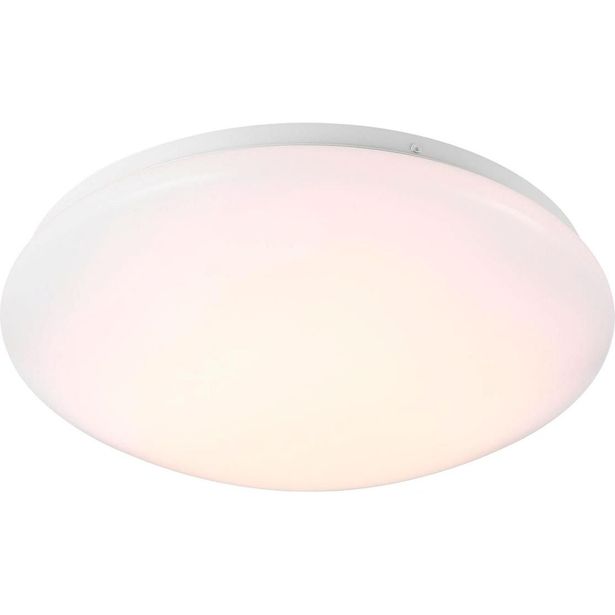 LED-plafondi Nordlux Mani, 18W, ø32,5cm, valkoinen