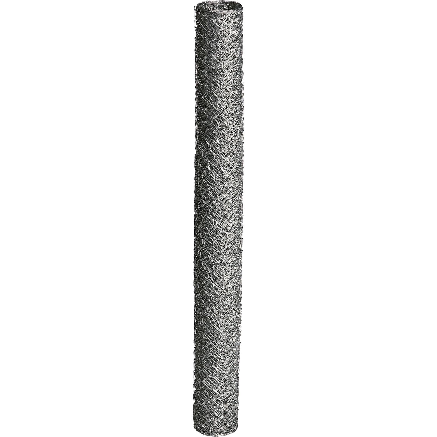 Kudottu verkko Hortus, 50x900mm, 30m, galvanoitu
