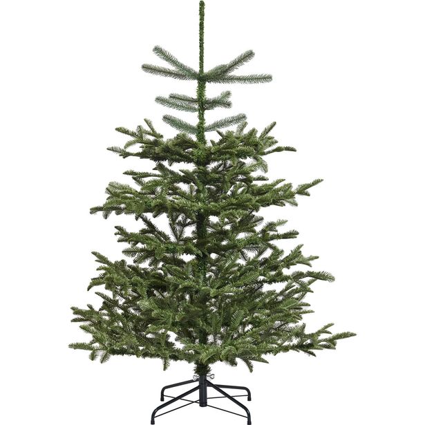 Joulukuusi Nordic Winter, PE Danish Collection, luokka A+, 150 x 118 cm