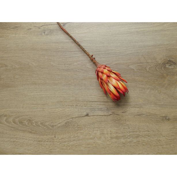 Vinyylilankku Laattapiste Green Flor Silent Elegance Oak Original Timeless Tan