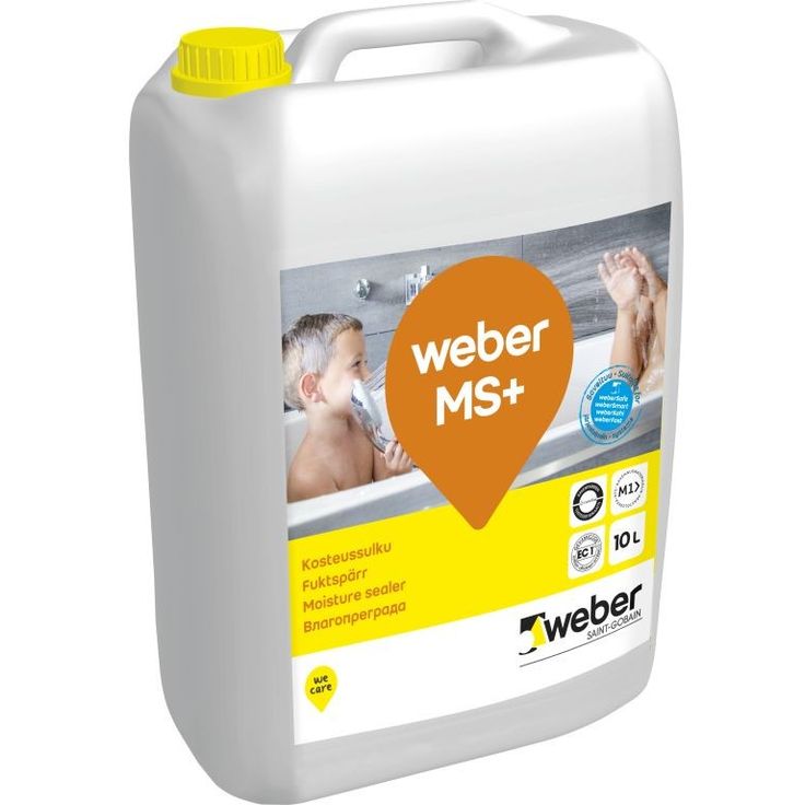 Kosteussulku Weber MS+, 10l