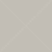 Tapetti City Chic 347747, 0.53x10.5m, beige
