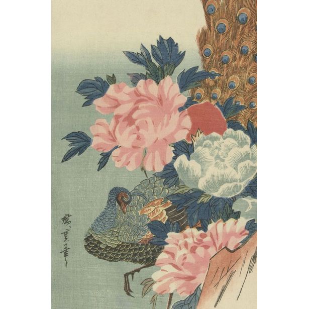 Kuvatapetti Origin Peacock & Peonies photowall XL 357233, 2x3m