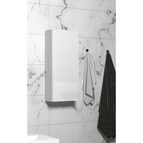 Seinäkaappi Otsoson 300, 300x705x120mm, valkoinen kiiltävä