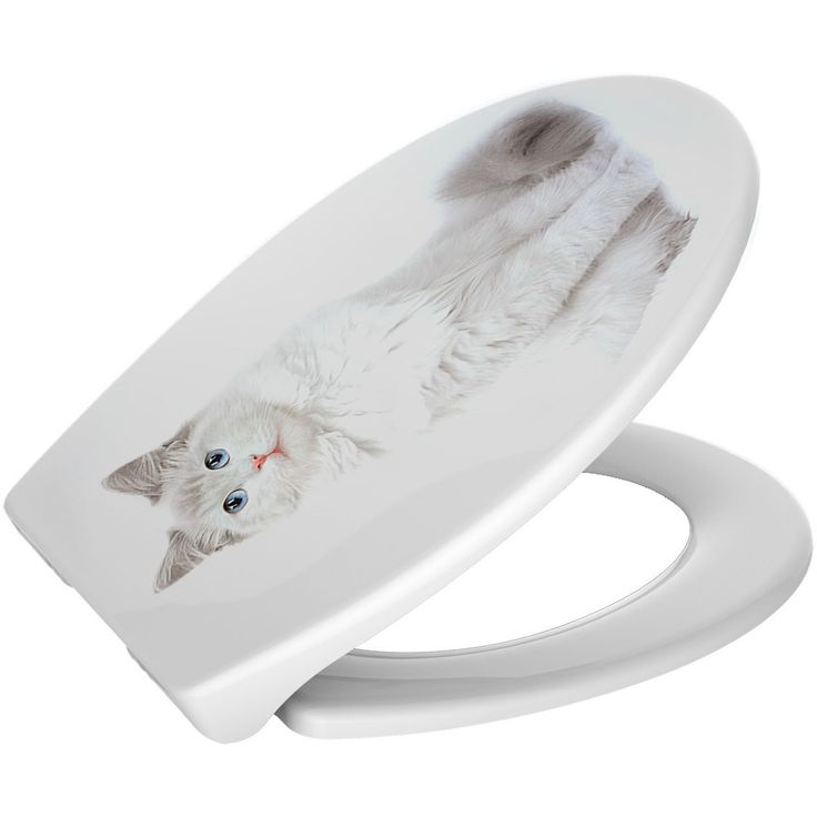 WC-istuinkansi Duschy Kitten pehmeästi sulkeutuva