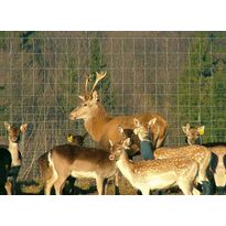 Eläinverkko Zn, hitsattu, 1,0x50m, muuttuva silmäkoko