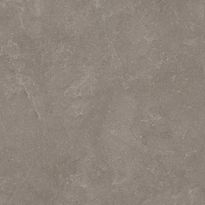 Lattialaatta Pukkila Lugano, 58x58cm, tasapintainen, matta, rektifioitu, antibakteerinen, lasitettu porcelanato