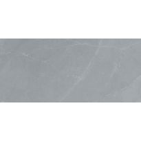 Seinälaatta Pukkila Glam Amani Grey, kiiltävä, sileä, 547x247mm