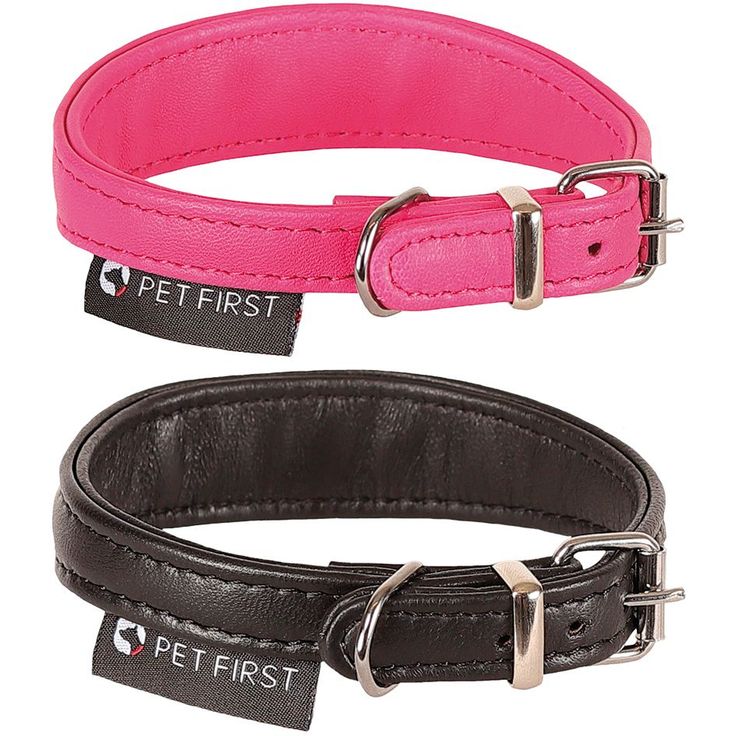Pentupanta Pet First muotoiltu