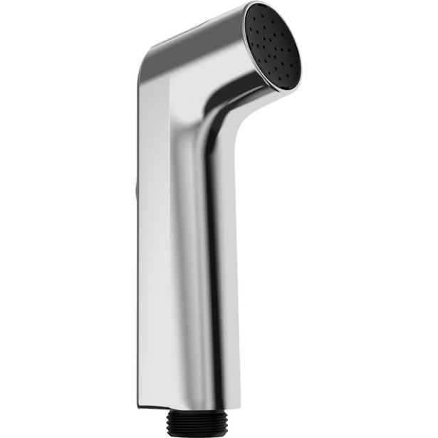 Käsisuihku Hansgrohe Bidette, kromi