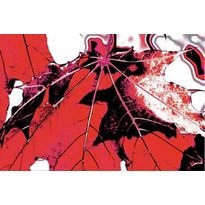 Punainen vaahteranlehti