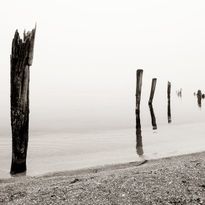 Mittatilaustapetti Rebel Walls Shoreline (R13671)