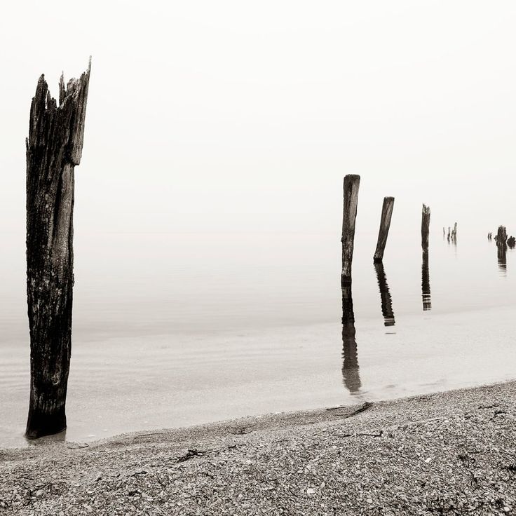 Mittatilaustapetti Rebel Walls Shoreline (R13671)