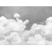 Mallipala Rebel Walls Cuddle Clouds Graphite, mittatilaus (REBR14013)