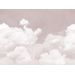 Mallipala Rebel Walls Cuddle Clouds Pink, mittatilaus (REBR14014)