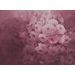 Mallipala Rebel Walls Harmony fuksia (REBR17071)