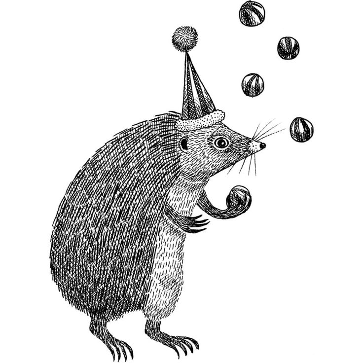 Mittatilaustapetti Rebel Walls Circus Animal, Iggy (R18204)