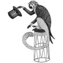 Mittatilaustapetti Rebel Walls Circus Animal, Mr Monkey (R18205)