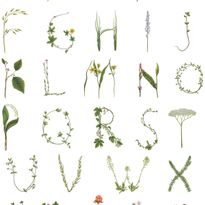 Tapetti Rebel Walls Floral Alphabet Mini Swedish (R18535)