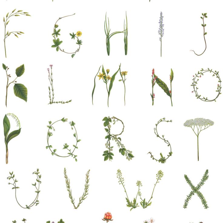 Tapetti Rebel Walls Floral Alphabet Mini Swedish (R18535)