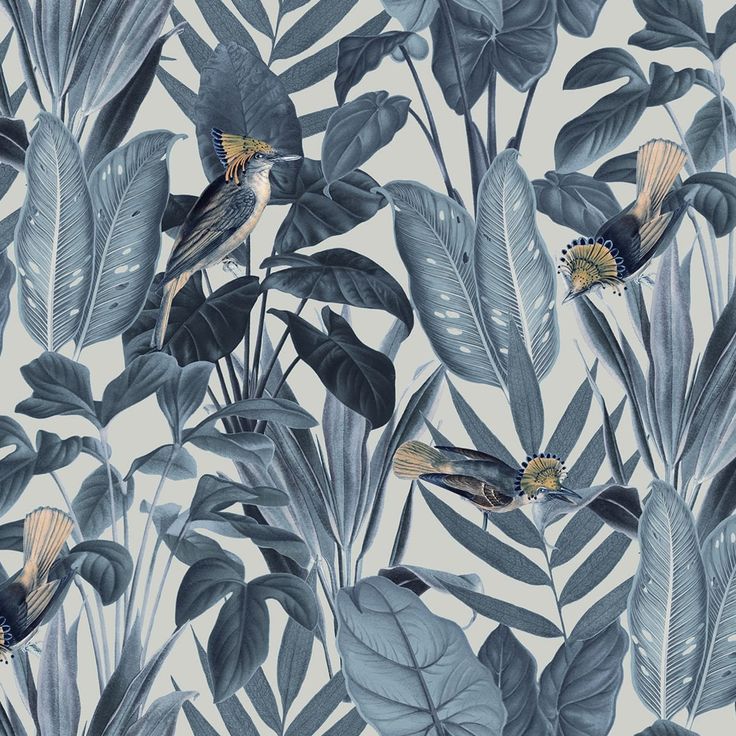 Tapetti Rebel Walls Birds of Paradise, Nightfall (R18564)