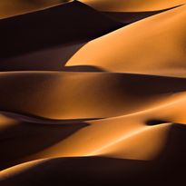Mittatilaustapetti Rebel Walls Sahara (R19004)