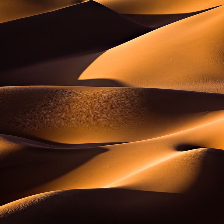 Mittatilaustapetti Rebel Walls Sahara (R19004)