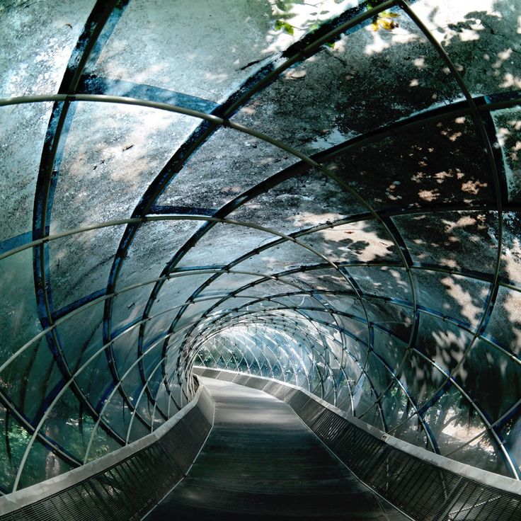 Mittatilaustapetti Rebel Walls Tunnel Of Glass (R19034)