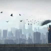 Mittatilaustapetti Rebel Walls Rain Bird (R19079)