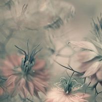 Mittatilaustapetti Rebel Walls Vintage Blossoms (R19103)