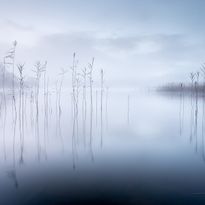 Mittatilaustapetti Rebel Walls Calm Lake (R19105)