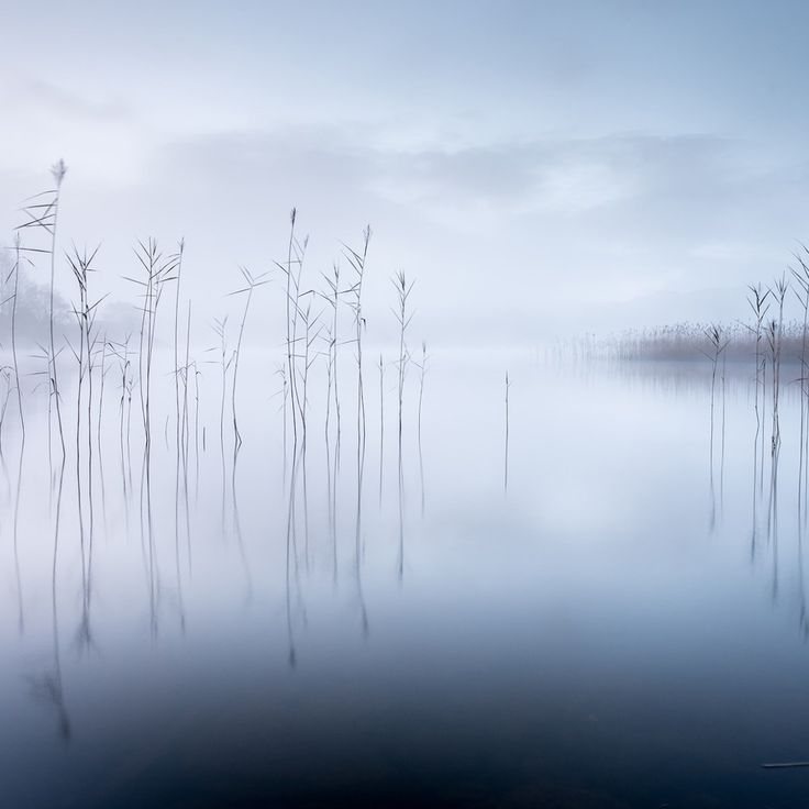 Mittatilaustapetti Rebel Walls Calm Lake (R19105)