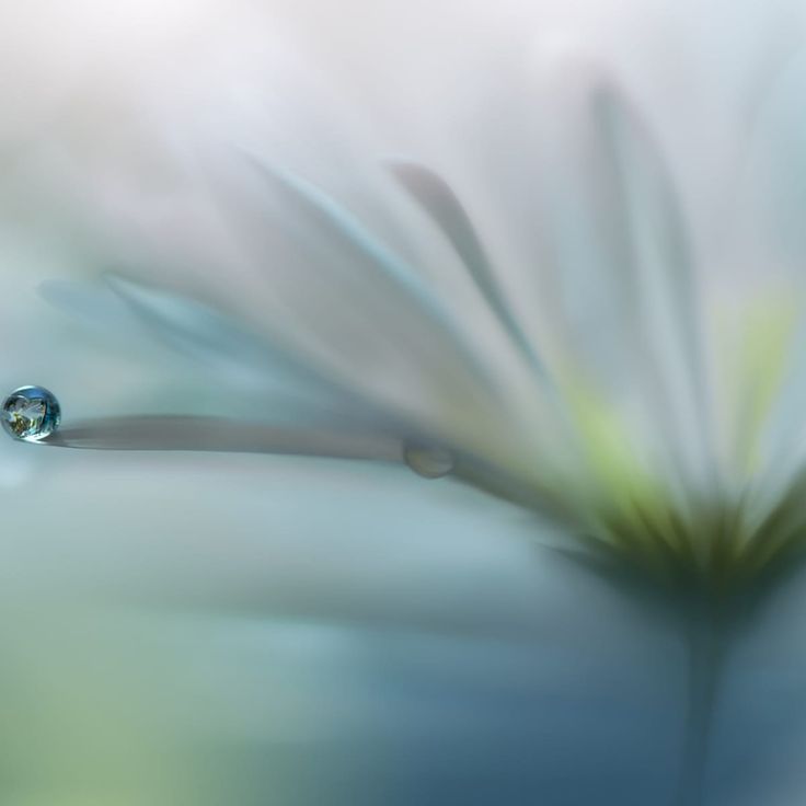 Mittatilaustapetti Rebel Walls Raindrop (R19129)