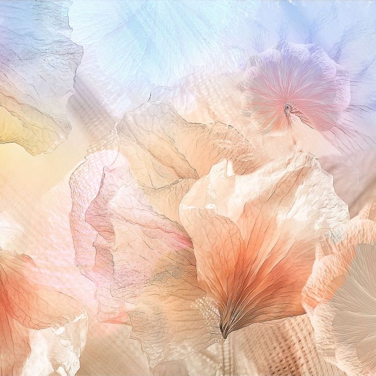 Mittatilaustapetti Rebel Walls Pastel Petals (R19172)