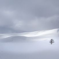 Mittatilaustapetti Rebel Walls Snowy Hills (R19189)
