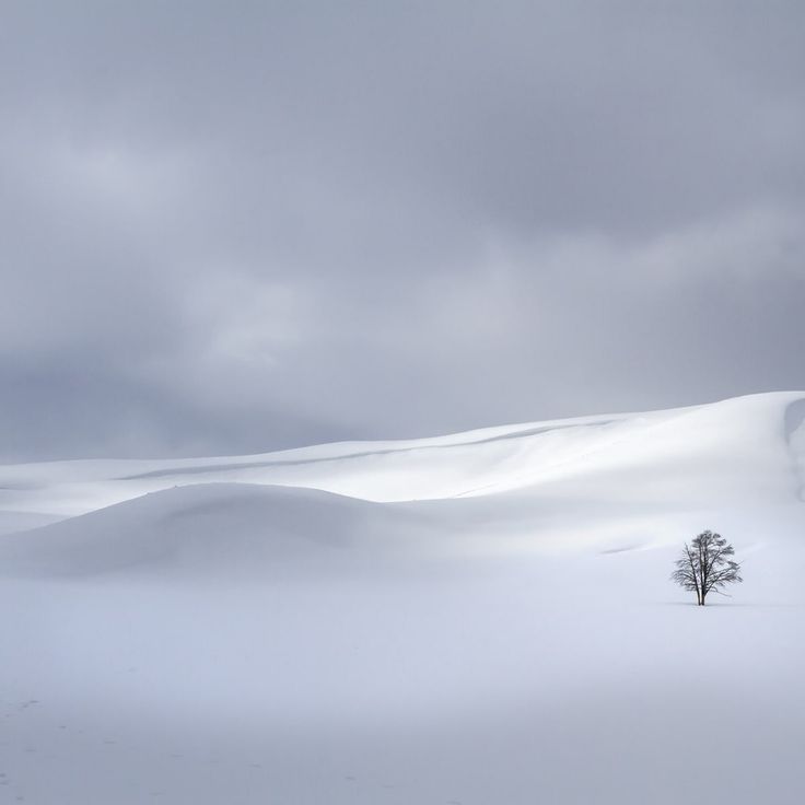 Mittatilaustapetti Rebel Walls Snowy Hills (R19189)