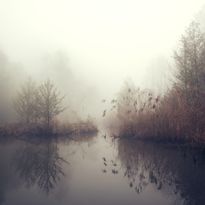 Mittatilaustapetti Rebel Walls Autumn Pond (R19193)