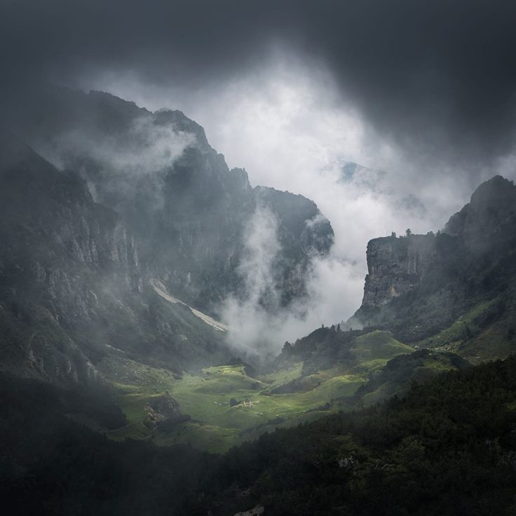 Mittatilaustapetti Rebel Walls Foggy Valley (R19195)