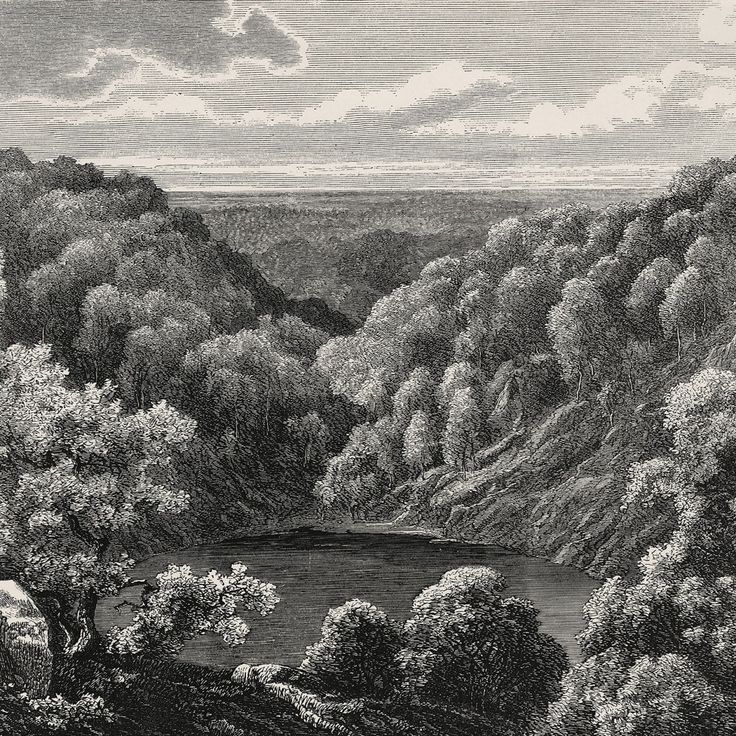 Mittatilaustapetti Rebel Walls Mystery Lake, Vintage (R19216)