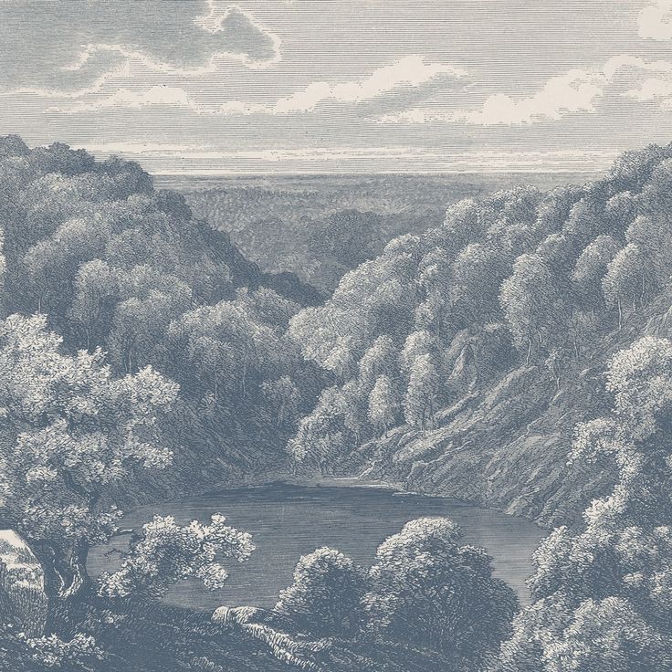 Mittatilaustapetti Rebel Walls Mystery Lake, Blue (R19217)